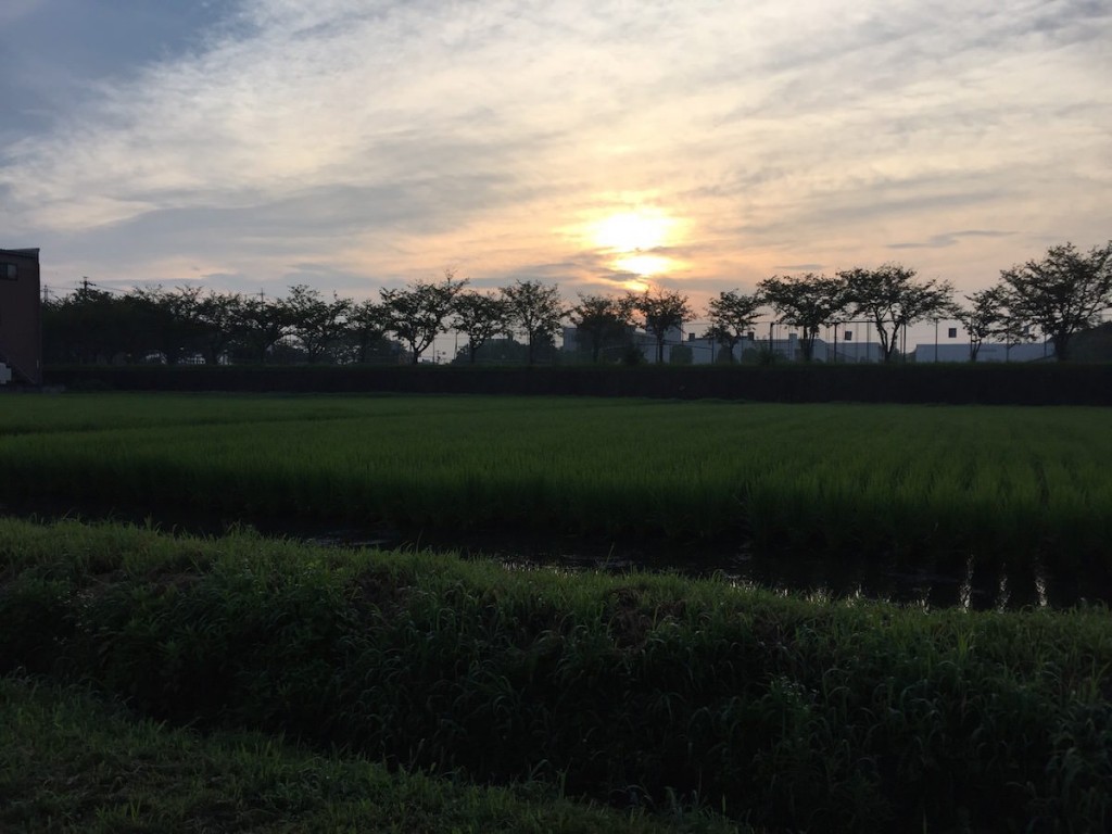 sunrise