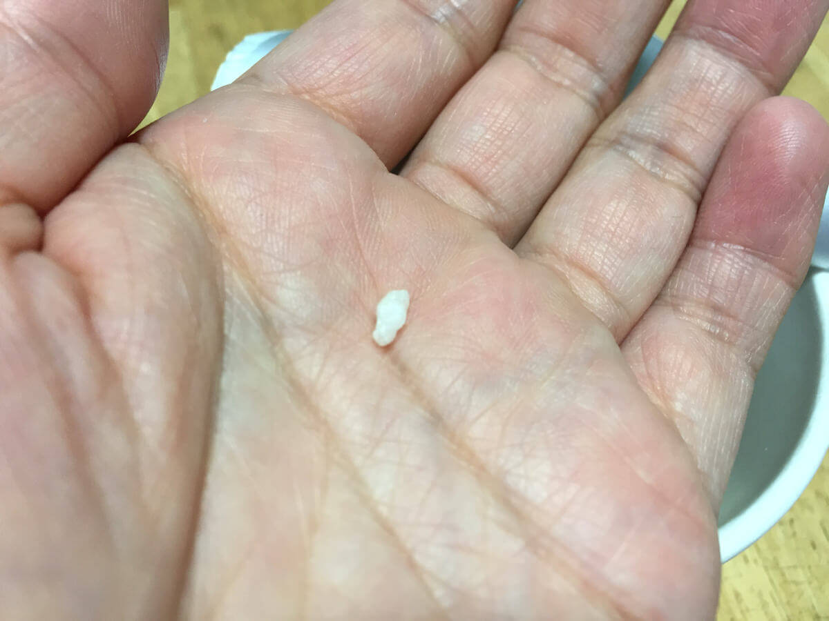 ハヤシメシの粒